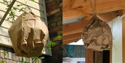 fake wasp nest bag|fake wasp nests do they work.